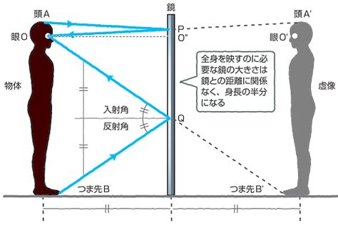 全身鏡位置|全身を映す鏡の大きさは？ 